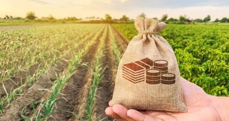 Plano Safra: veja as expectativas da agropecuária do Sul do país