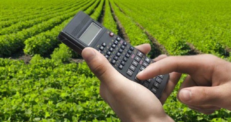 Conab atualiza custos anuais de mais de 40 produtos