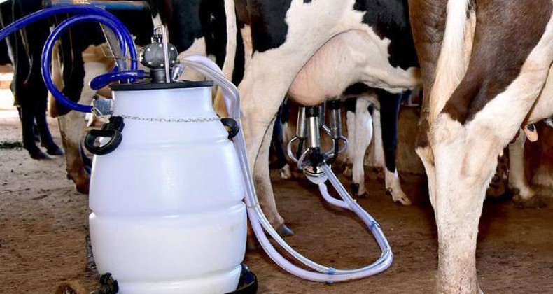 Daoud: Agregar valor ao leite é saída para melhor a rentabilidade do setor