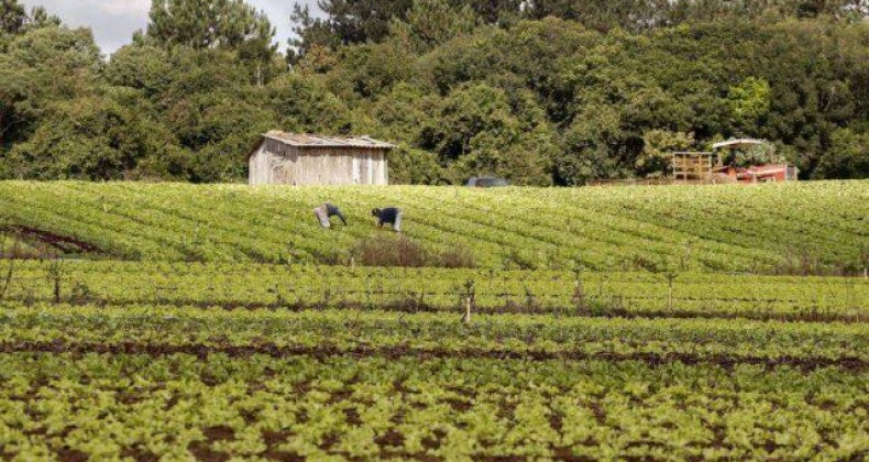 Governo federal promete entregar 600 mil títulos de terra até 2022