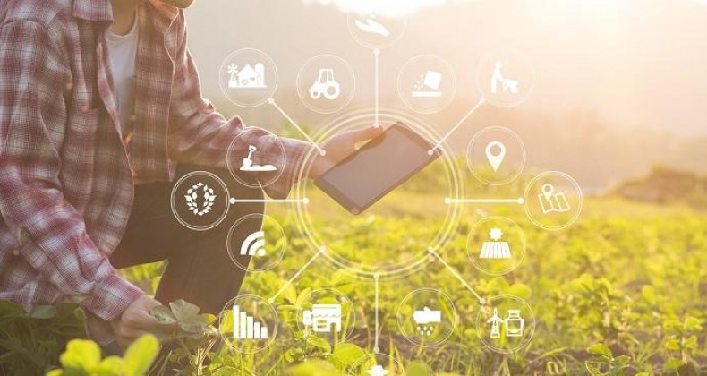 Embrapa prioriza agricultura digital em novo plano diretor até 2030