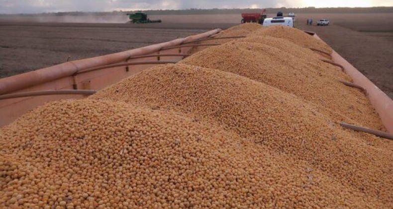 Ipea reduz projeção de crescimento da agropecuária em 2020