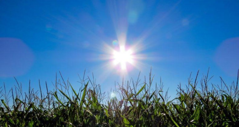Milho: clima preocupa produtores e saca vai a R$ 87 no Rio Grande do Sul