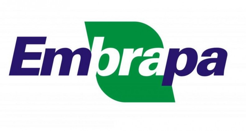 Veja as projeções da Embrapa para o setor de pesquisa em 2021