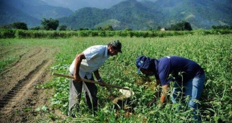 ‘Agronegócio evitou que desemprego chegasse a 1 milhão de pessoas’