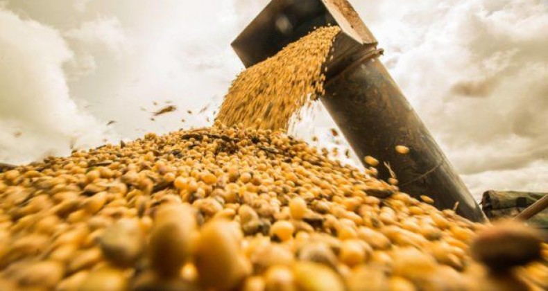 Na 1ª semana de 2021, Brasil exporta menos de 2 sacas de soja