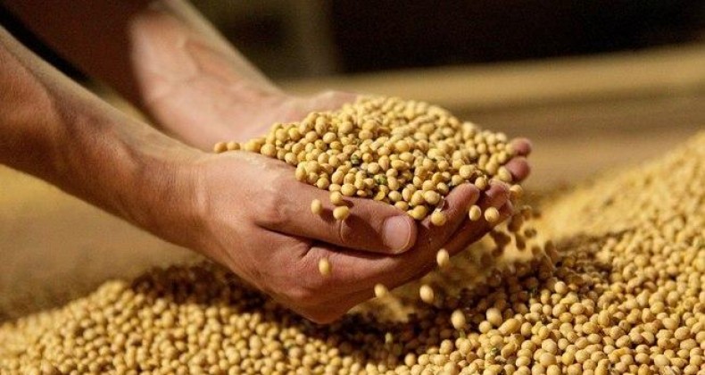 Soja: em dia de negócios travados, saca tem alta no Paraná