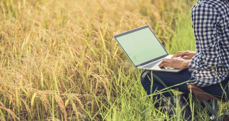 Projeto quer levar internet no campo para 2,4 milhões de pessoas