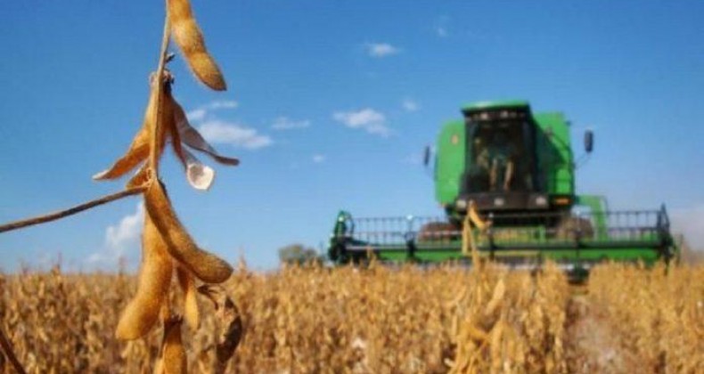 Colheita da soja avança para 27% da área no Rio Grande do Sul