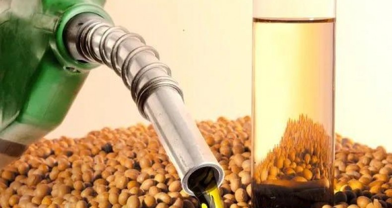 ‘Redução da mistura do biodiesel pode causar prejuízo de R$ 17 bilhões’
