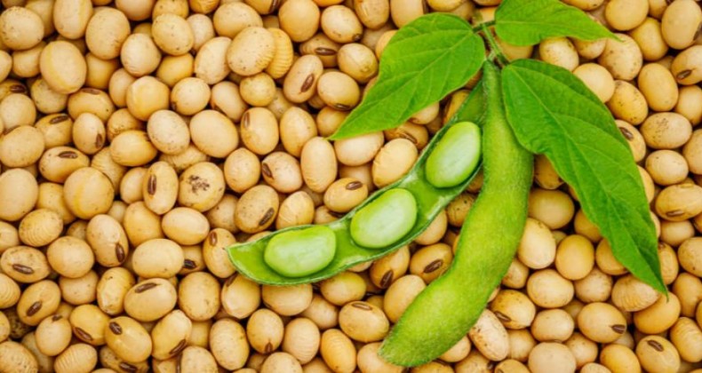 Demanda chinesa por soja será maior na próxima semana?