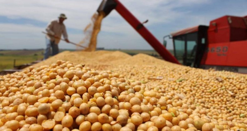 Soja: preços voltam a subir e melhoram ritmo de negócios no Brasil