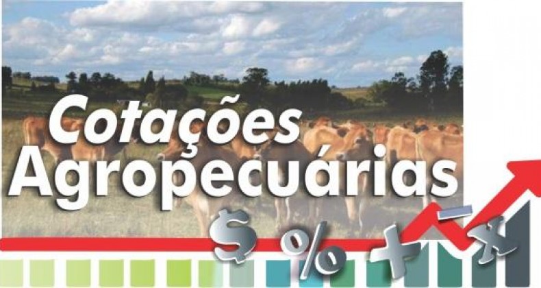Preços do milho se mantêm em alta; confira os destaques desta segunda