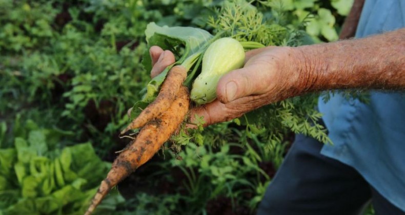 Brasil terá crédito de US$ 1,2 bi para projetos agrícolas