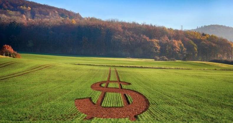 Ministério da Agricultura estima VBP em R$ 1,2 trilhão para 2022