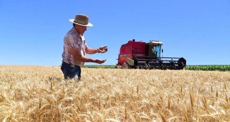 Levantamento estima safra recorde de trigo em 2022