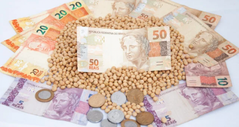 Veja como o relatório do USDA influenciou o preço da soja no Brasil