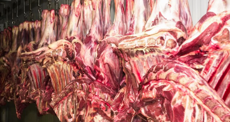Exportações de carne bovina batem recorde em agosto