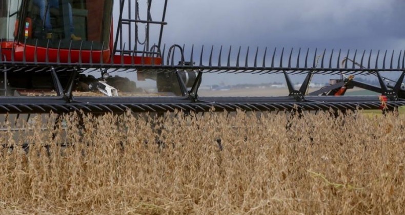 Justiça Federal garante seguro agrícola a produtor de soja no RS