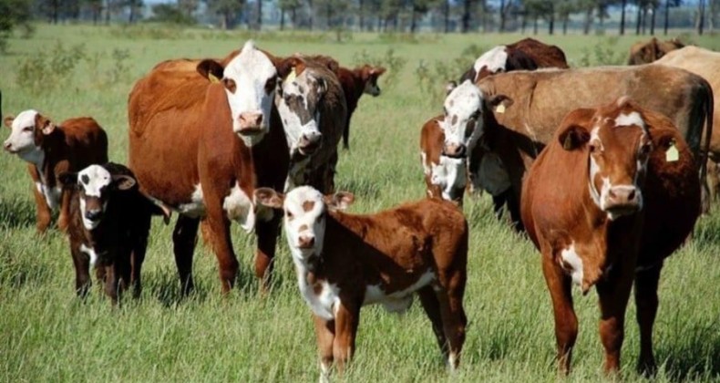 RS: setores da agropecuária mostram preocupação com aumento de tributos