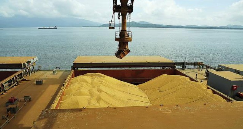 Exportações de soja do Brasil devem crescer 10% em 2025