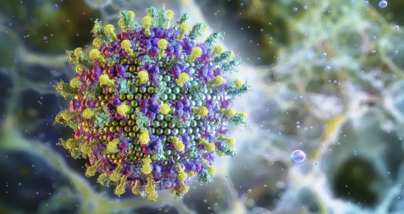 Nipah: saiba mais sobre o vírus que preocupa a Ásia