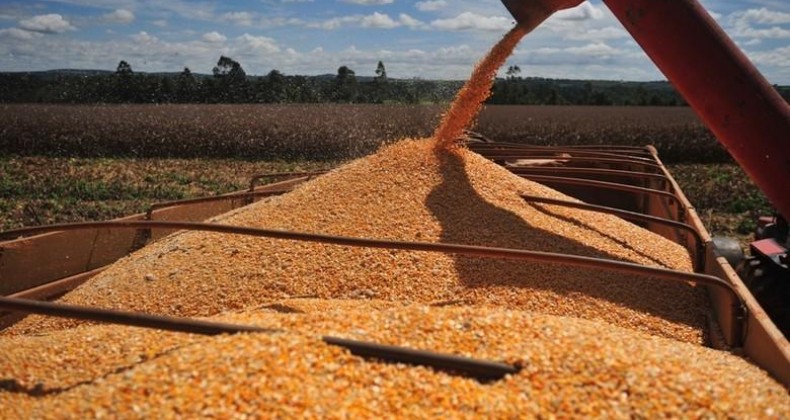 USDA: estoques mundiais de milho da safra 2019/20 são os menores em 10 anos