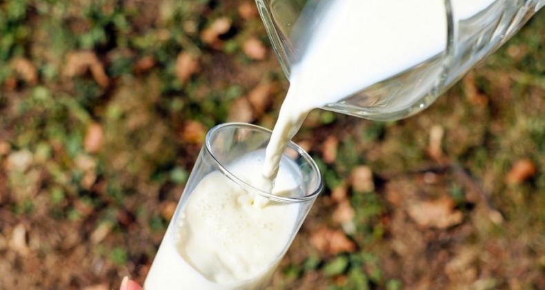 Setor lácteo do RS comemora liberação de exportação para a China