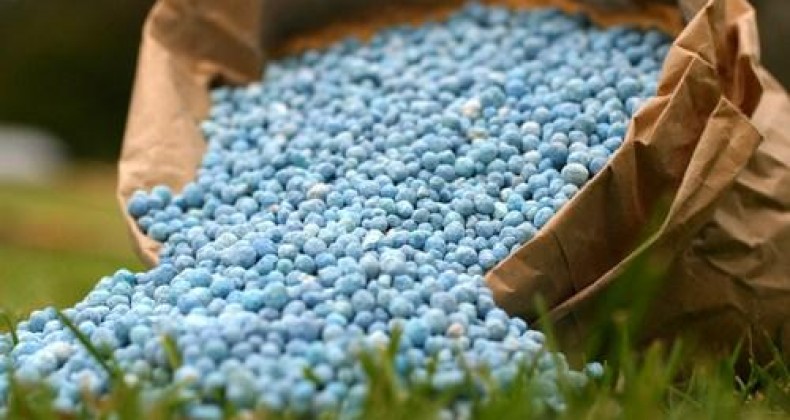 Uso de fertilizantes especiais cresce 20% ao ano, diz diretor da Kimberlit