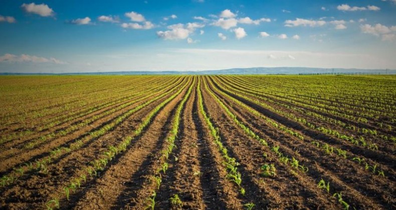 Superlaboratório pode revolucionar o manejo agrícola do Brasil