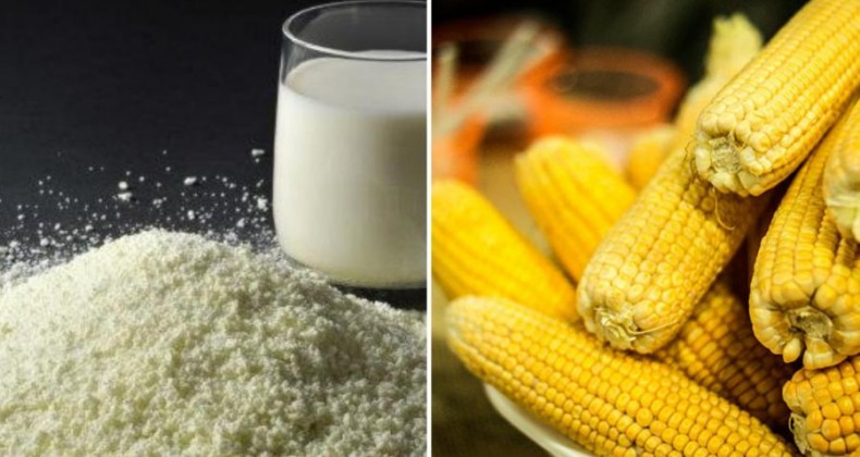 CNA: menor importação de leite e retomada no milho são destaques