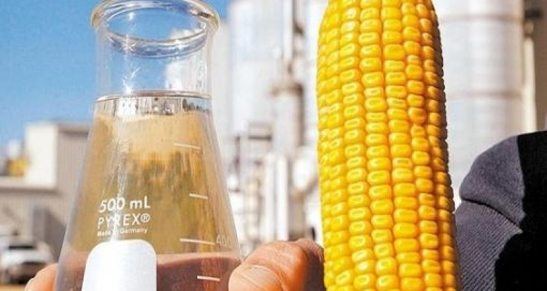 Produção de etanol de milho deve alcançar 8 bi de litros até 2028 no Brasil