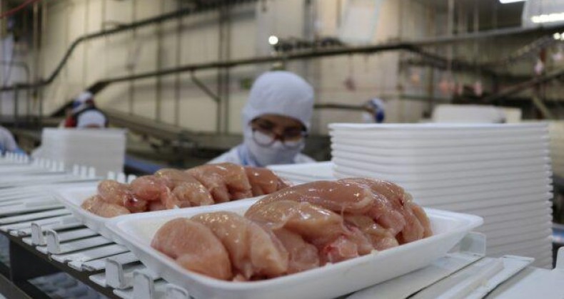 Mapa solicita às Filipinas fim do embargo à carne de frango brasileira