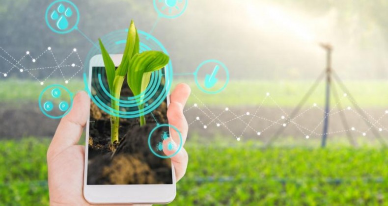 Conectividade atinge 23% da área agrícola do Brasil, mas Mapa quer chegar a 90%