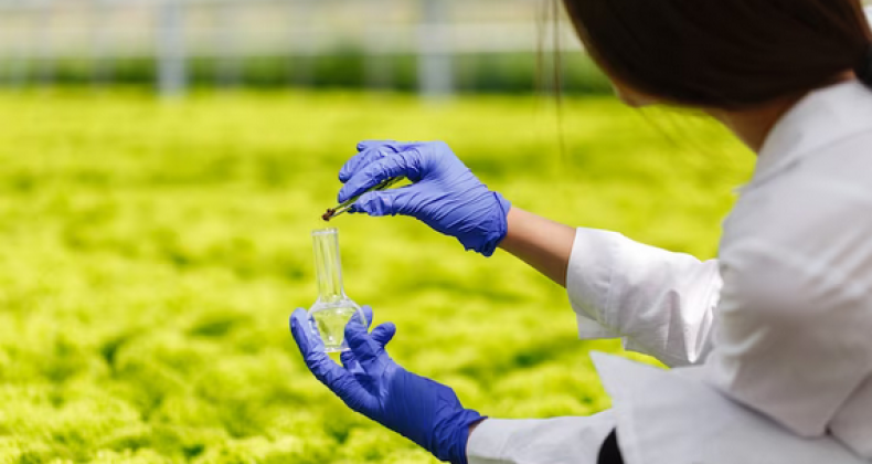 Brasil deve ser o centro da ciência quântica aplicada ao agro, defendem especialistas