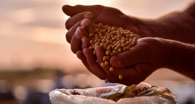 Safra de soja deve ficar abaixo de 135 milhões de toneladas, diz Aprosoja Brasil